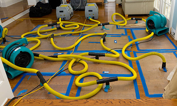 Professional Structural Drying And Dehumidification technician working in Carlisle, OH